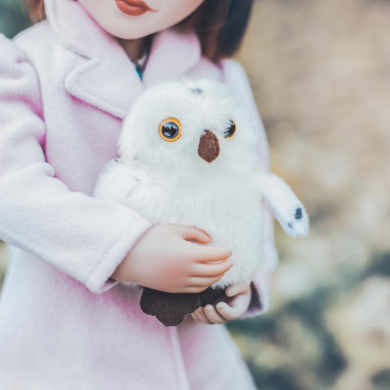 Clementine's Owl, Mr. Winston - A Girl for All Time pets
